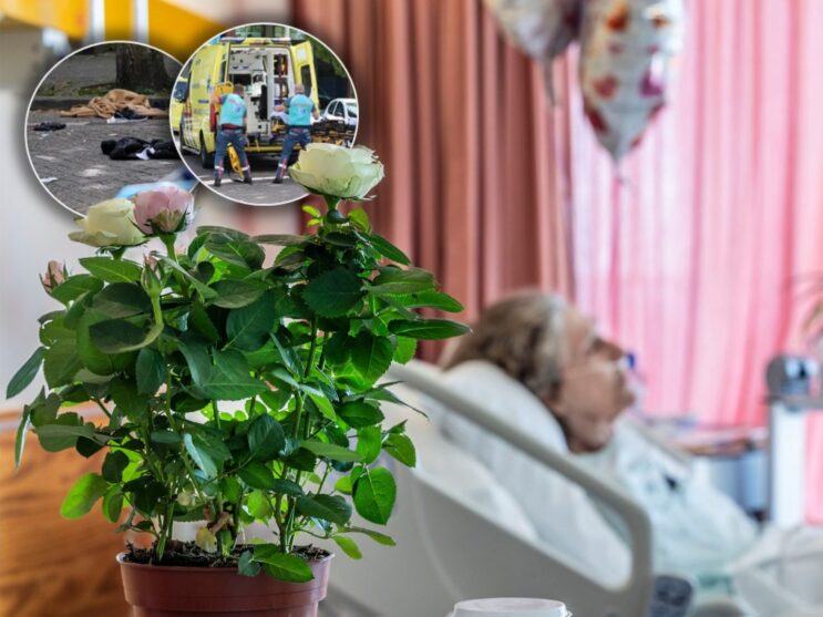 kruidvat scheveningen